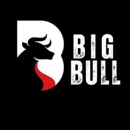 BIGBULL