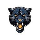 Panter Crypto