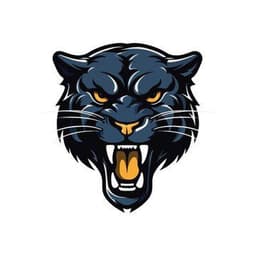 Panter Crypto