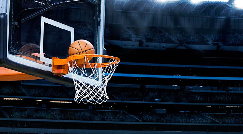A Milli Basketbol Takımı Çalışmalara Start Verdi